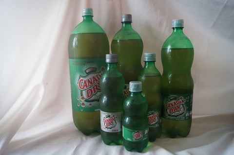 Canada Dry Ginger Ale